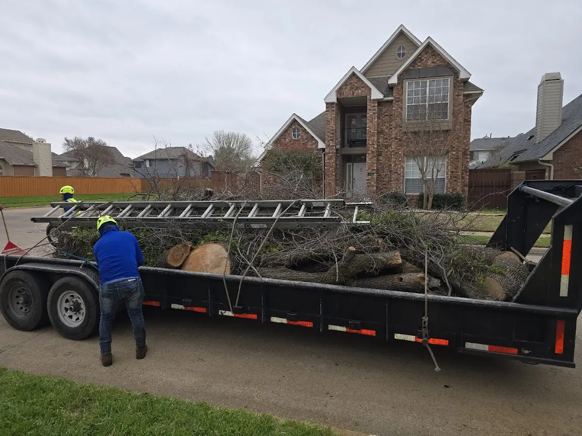 Expert Tree Removal with proper safety equipment in Excello